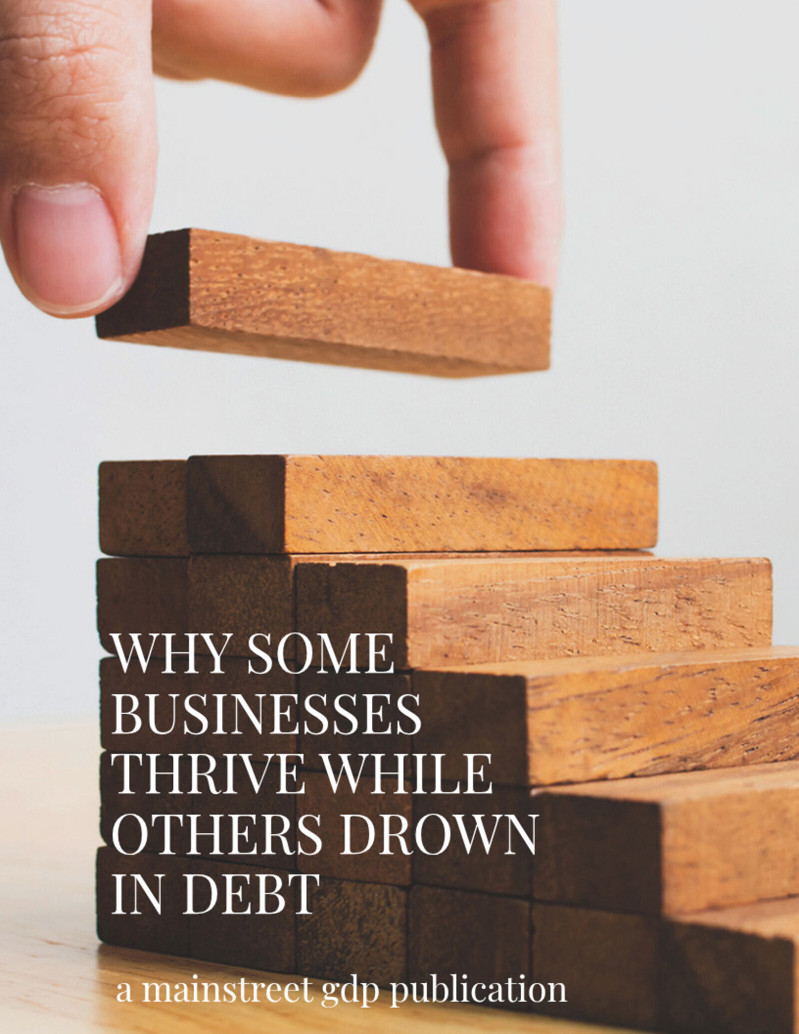 Why Some Businesses Thrive While Others Drown in Debt — book cover